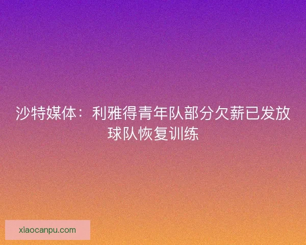 沙特媒体:利雅得青年队部分欠薪已发放球队恢复训练 沙特媒体:利雅得青年队部分欠薪已发放球队恢复训练