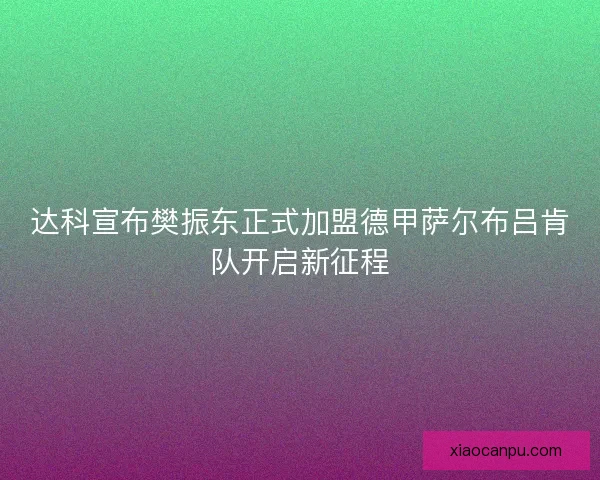 达科宣布樊振东正式加盟德甲萨尔布吕肯队开启新征程 达科宣布樊振东正式加盟德甲萨尔布吕肯队开启新征程