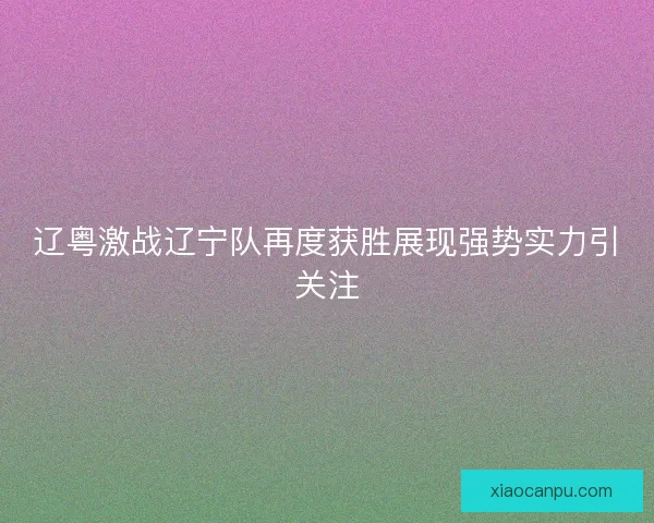 辽粤激战辽宁队再度获胜展现强势实力引关注