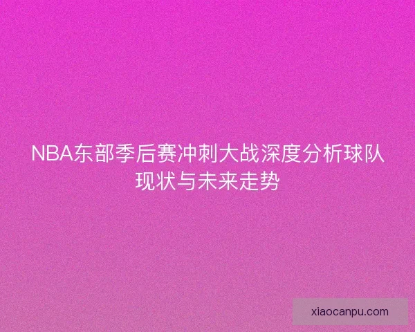 NBA东部季后赛冲刺大战深度分析球队现状与未来走势 NBA东部季后赛冲刺大战深度分析球队现状与未来走势