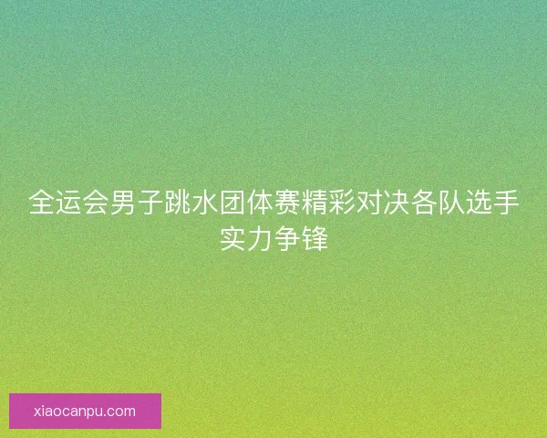 全运会男子跳水团体赛精彩对决各队选手实力争锋 全运会男子跳水团体赛精彩对决各队选手实力争锋